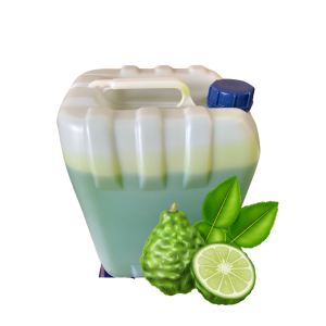 1-SHAMPOO DE BERGAMOTA 2EN1 CALIDAD A PLUS ECONOMY 20L 10L 5L